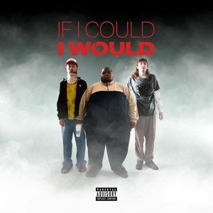 Image for 'If I Could I Would'