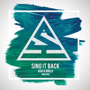 Image for 'Sing It Back'