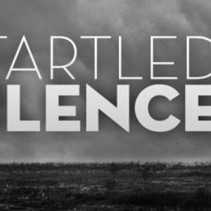 Imagem de 'Startled by Silence'