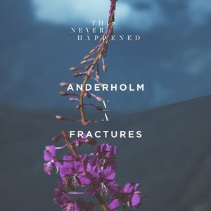 Image pour 'Fractures'