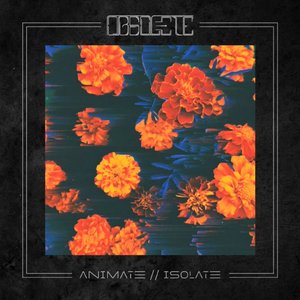 'Animate//Isolate'の画像