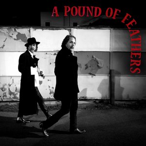 Image for 'A Pound of Feathers'