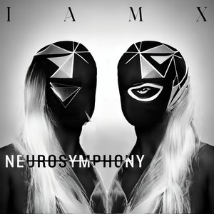 “Neurosymphony”的封面