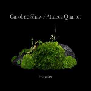 “Caroline Shaw: Evergreen”的封面