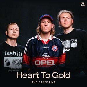 Image for 'Heart to Gold on Audiotree Live'