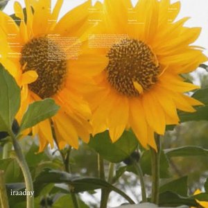 “Iraaday”的封面