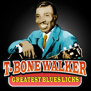 'Greatest Blues Licks'の画像