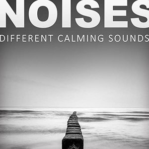 Immagine per 'Noises - Different Calming Sounds, Grey & White Ambient Shades of Nature, Machine & Weather Noise, Natural Healing Collection'