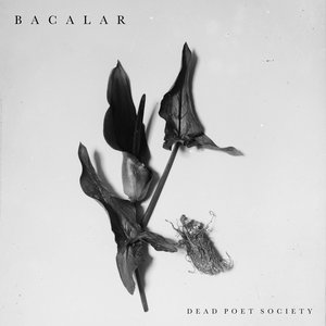 Image for 'Bacalar'