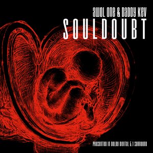 “Souldoubt”的封面