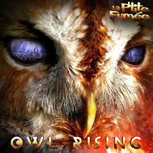 Image for 'Owl Rising'