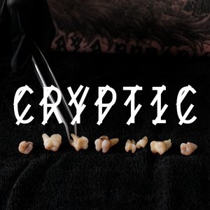 Image for 'Cryptic (Kobosil Hart Mix)'