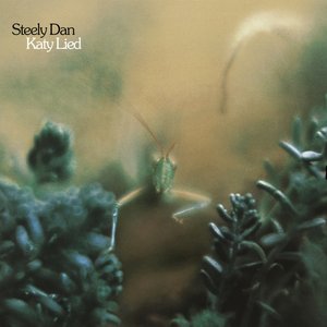 “Katy Lied (2025 Remaster)”的封面