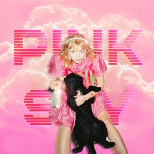 Image for 'Pink Sky (Endless Summer)'