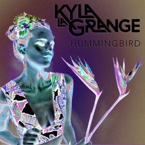 Image pour 'Hummingbird (OX2 Remix)'