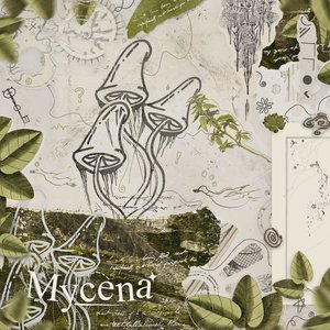 Image for 'Mycena'