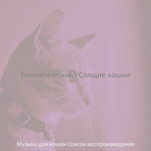 Image for 'Гипнотический - Спящие кошки'