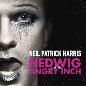 Image for 'Hedwig And The Angry Inch Original Broadway Cast Recording'