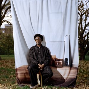 Image for 'the wonder years'