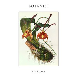 Image for 'VI: Flora'