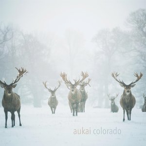 'Colorado'の画像