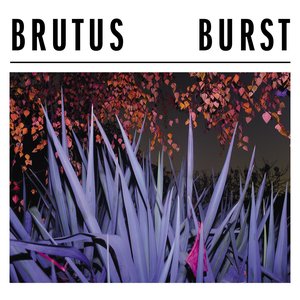 Image for 'Burst'