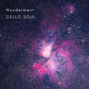 Image for 'Wonderment'