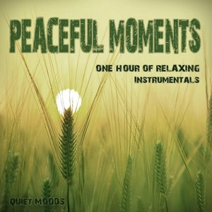 Bild für 'Peaceful Moments (One Hour of Relaxing Instrumentals)'