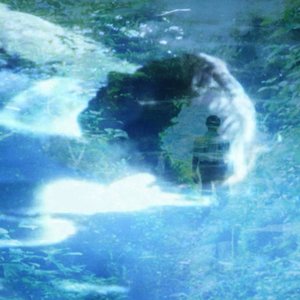 Image for 'Follow the New Land'