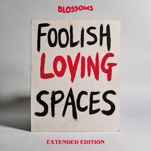 Image for 'Foolish Loving Spaces (Extended Edition)'