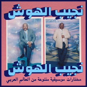 Image for 'Ya Aen Daly (Habibi Funk 015)'