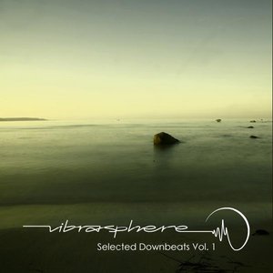 Image for 'Selected Downbeats Vol.1 WEB'