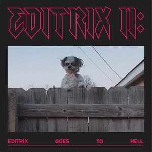 Image for 'Editrix II: Editrix Goes To Hell'