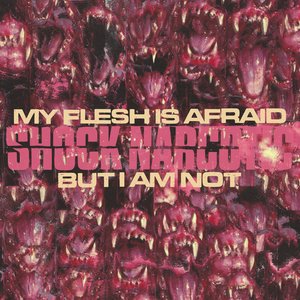 Imagen de 'My Flesh Is Afraid But I Am Not'