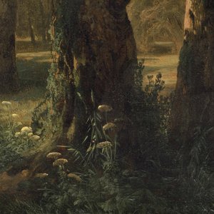Image for 'Woodland Gardens II'
