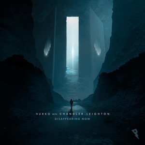 “Disappearing Now”的封面