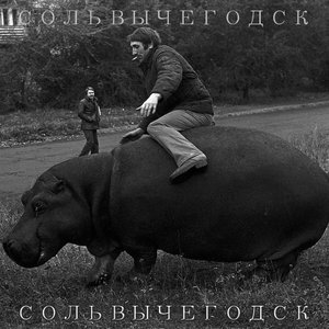 Image for 'Сольвычегодск'