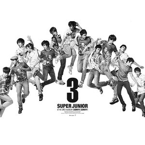 Image for 'Sorry, Sorry (Repackage Album)'