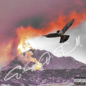 Immagine per 'EAST SIDE OF THE MOUNTAIN'