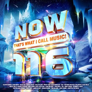Image for 'Now That's What I Call Music! 116'