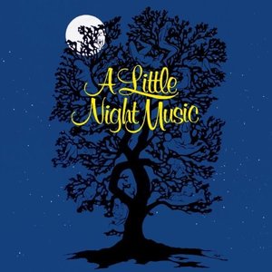 Image for 'A Little Night Music (Original Broadway Cast Recording)'