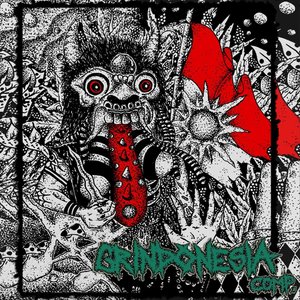 “V/A : GRINDONESIA LP”的封面