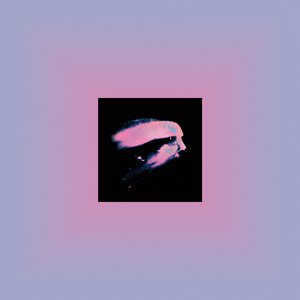 “Invariant”的封面
