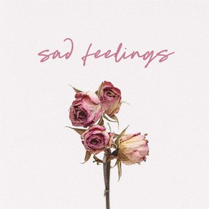 Image for 'Sad Feelings'