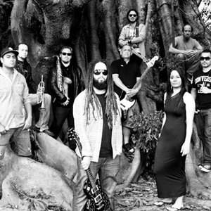 Image for 'Darky Roots'