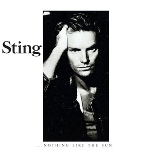 Bild für '...Nothing Like The Sun'