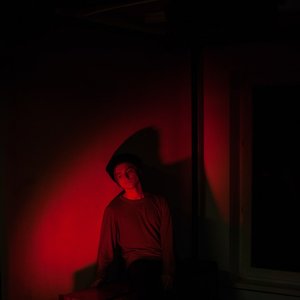 “Alexey Krivdin”的封面