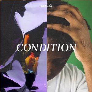 Изображение для 'Condition'