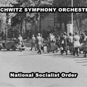 Imagem de 'National Socialist Order'