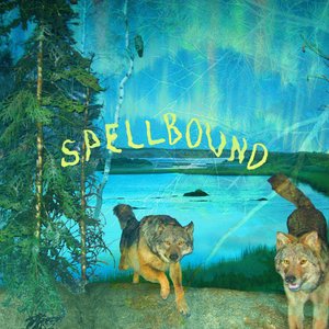 'Spellbound' için resim